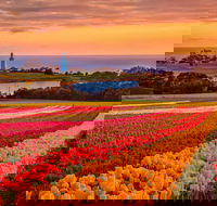 Table Cape - Accommodation Brunswick Heads