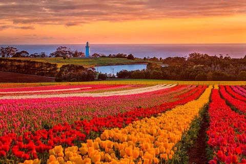 Table Cape - Accommodation Brunswick Heads 0
