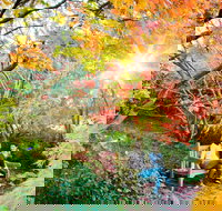 The Blue Mountains Botanic Garden Mount Tomah - Accommodation Brunswick Heads