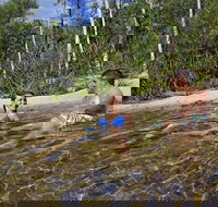 Tjaynera Falls Sandy Creek - Accommodation Brunswick Heads