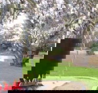 Trangie Big Billy - Accommodation Brunswick Heads