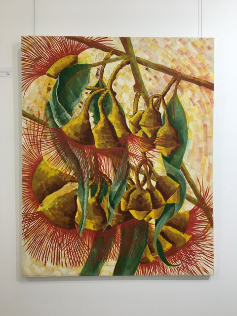 Wacky Bird Gallery - Accommodation Brunswick Heads 1