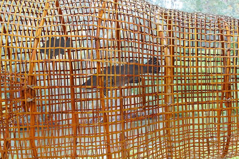 Wagirra Trail And Yindyamarra Sculpture Walk - Accommodation Brunswick Heads 2