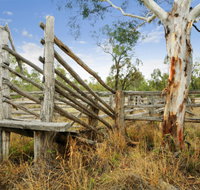 Wandoan - Accommodation Brunswick Heads