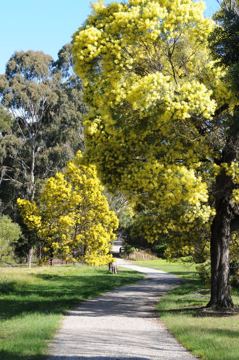 Wattle Park - Accommodation Brunswick Heads 0