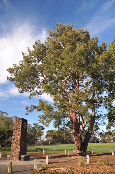Wattle Park - Accommodation Brunswick Heads 2