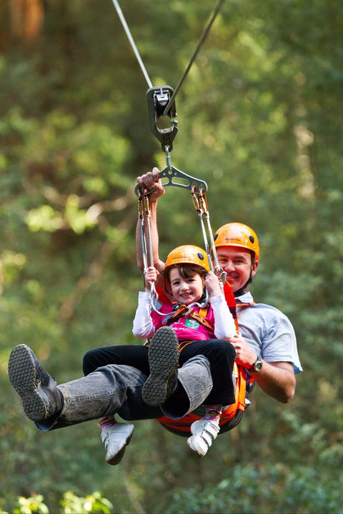 Zipline At Illawarra Fly - Accommodation Brunswick Heads 0