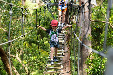Zipline At Illawarra Fly - Accommodation Brunswick Heads 1