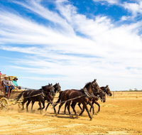 7 Day Outback Giants - Accommodation Brunswick Heads