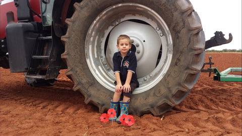 Alice Springs School Of The Air Visitor Centre - Accommodation Brunswick Heads 2