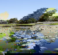 Anderson Park Botanic Gardens - Accommodation Brunswick Heads