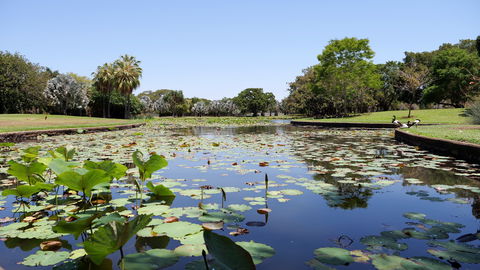 Anderson Park Botanic Gardens - Accommodation Brunswick Heads 0