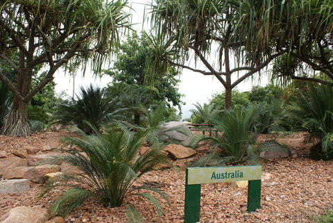 Anderson Park Botanic Gardens - Accommodation Brunswick Heads 2