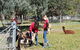 Animal Farm Visit - thumb 1