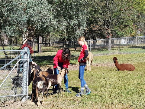 Animal Farm Visit - Accommodation Brunswick Heads 1