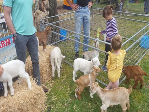 Animal Farm Visit - Accommodation Brunswick Heads 2