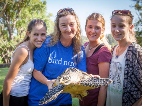 Australian Seabird Rescue - Accommodation Brunswick Heads 0