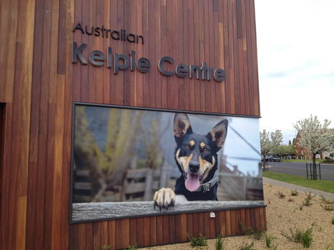 Australian Kelpie Centre - Accommodation Brunswick Heads 0