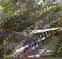 Awaba Bay Foreshore Walk - Accommodation Brunswick Heads