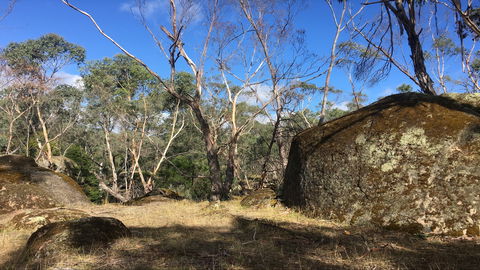 Bailey's Rocks - Dergholm State Park - Accommodation Brunswick Heads 0
