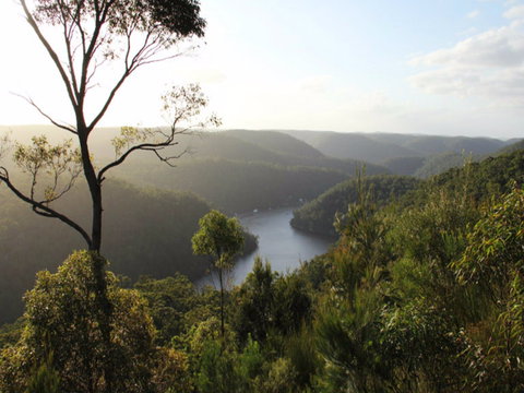 Berowra Valley National Park - Accommodation Brunswick Heads 0