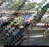 Bidgee Riverside Trail  - Hay Nature Walk - Accommodation Brunswick Heads