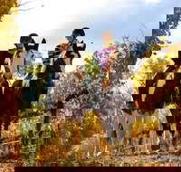 Billabong Ranch Adventure Park - Accommodation Brunswick Heads