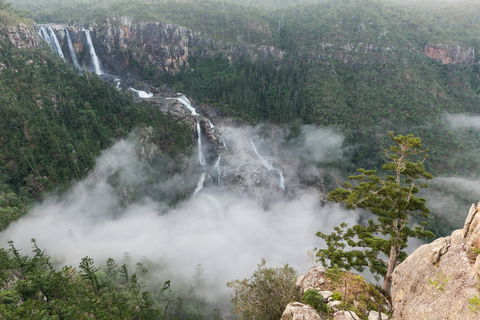 Blencoe Falls, Girringun National Park - Accommodation Brunswick Heads 0