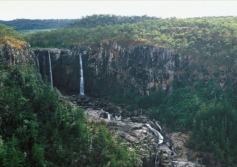 Blencoe Falls, Girringun National Park - Accommodation Brunswick Heads 2