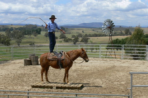 Boggy Creek Show - Accommodation Brunswick Heads 0