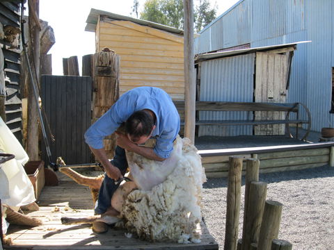 Boggy Creek Show - Accommodation Brunswick Heads 2