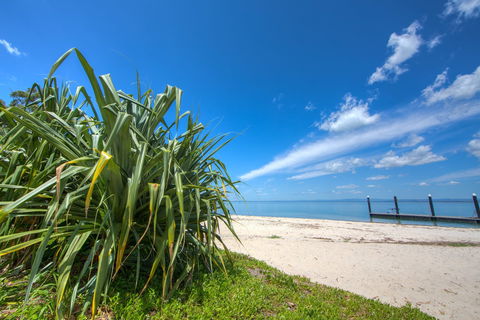 Bongaree Walkabout - Accommodation Brunswick Heads 0