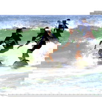 Broadbeach Surf School - Accommodation Brunswick Heads