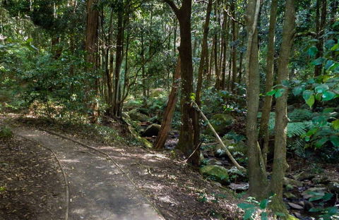 Cascades Walk - Accommodation Brunswick Heads 0