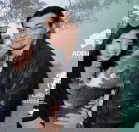 Cleland Wildlife Park - Koala Hold - Accommodation Brunswick Heads