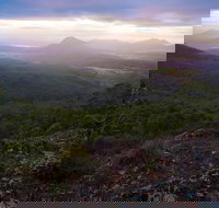 Cunninghams Gap and Spicers Gap Main Range National Park - Accommodation Brunswick Heads