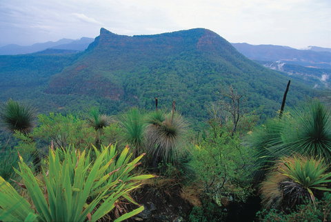 Cunninghams Gap And Spicers Gap, Main Range National Park - Accommodation Brunswick Heads 1