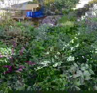 Down to Earth Permaculture - Accommodation Brunswick Heads