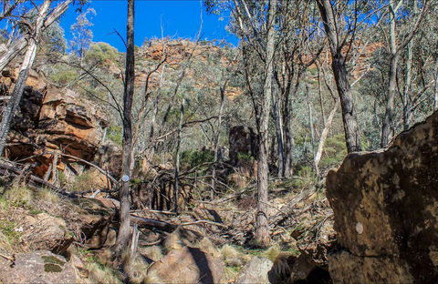 Eualdrie Walking Track - Accommodation Brunswick Heads 0
