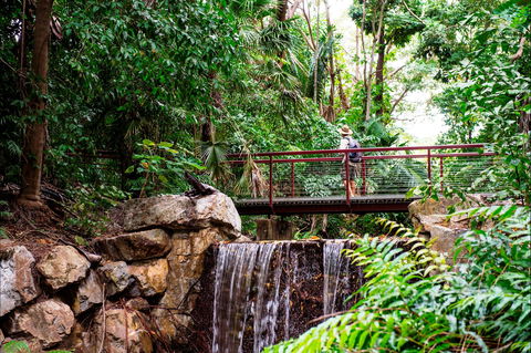 George Brown Darwin Botanic Gardens - Accommodation Brunswick Heads 0