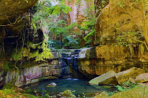 Glimpse Of The Outback 5 Day Tour - Roma And Surrounds - Accommodation Brunswick Heads 0