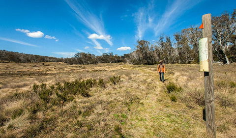 Goldseekers Track - Accommodation Brunswick Heads 0