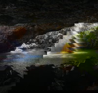 Gondwana Rainforests of Australia World Heritage Area - Accommodation Brunswick Heads