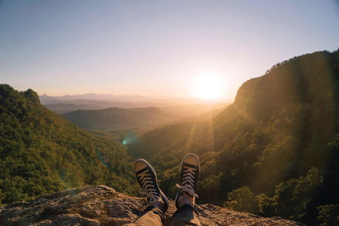 Gondwana Rainforests Of Australia World Heritage Area - Accommodation Brunswick Heads 1