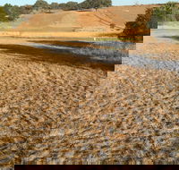 Gunning Golf Club - Accommodation Brunswick Heads