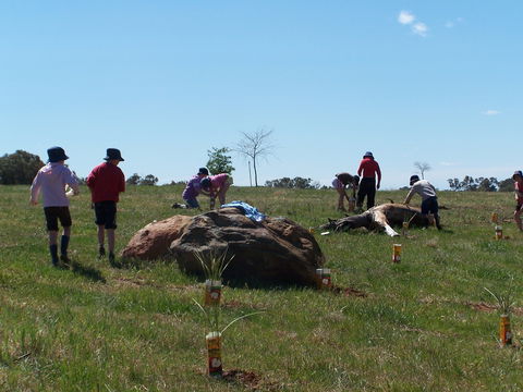 Jim Salmon  Wetland Education Site - Accommodation Brunswick Heads 0