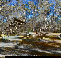 Kaiserstuhl Conservation Park - Accommodation Brunswick Heads
