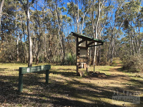 Kaiserstuhl Conservation Park - Accommodation Brunswick Heads 0