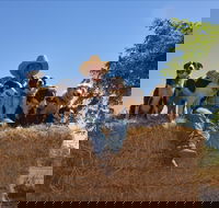 Katherine Outback Experience - Accommodation Brunswick Heads