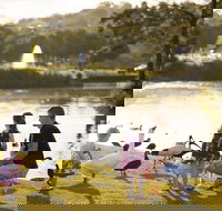 Lake Alford Recreational Park - Accommodation Brunswick Heads